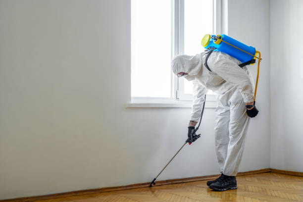 Best Affordable Pest Control Services  in Ballard, UT